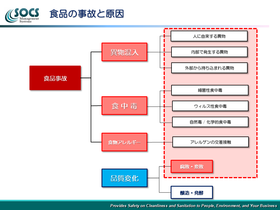 食品の事故と原因